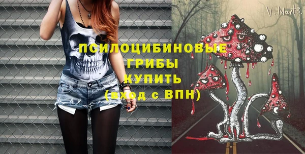 таблы Гусиноозёрск