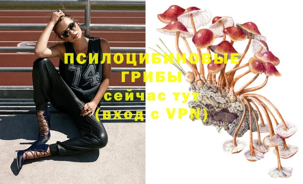 таблы Гусиноозёрск