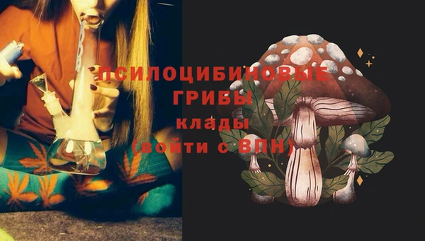 марки lsd Гусев